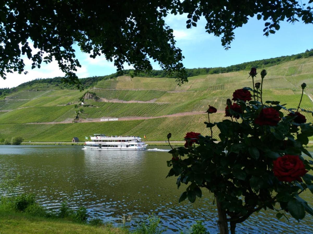 Ferienwohnungen Und Gaestezimmer Peter Busch برنكاستيل كويس المظهر الخارجي الصورة