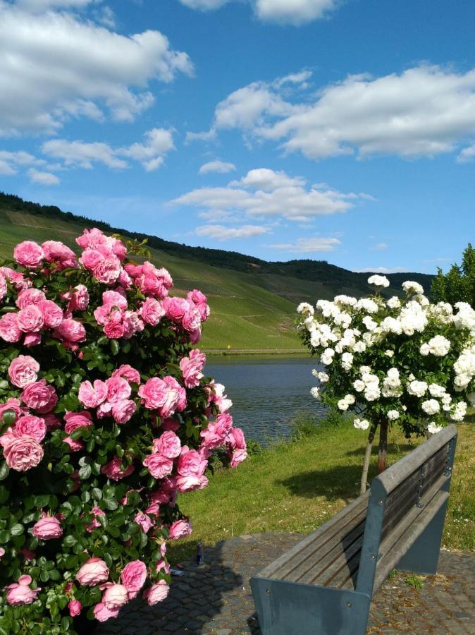 Ferienwohnungen Und Gaestezimmer Peter Busch برنكاستيل كويس المظهر الخارجي الصورة
