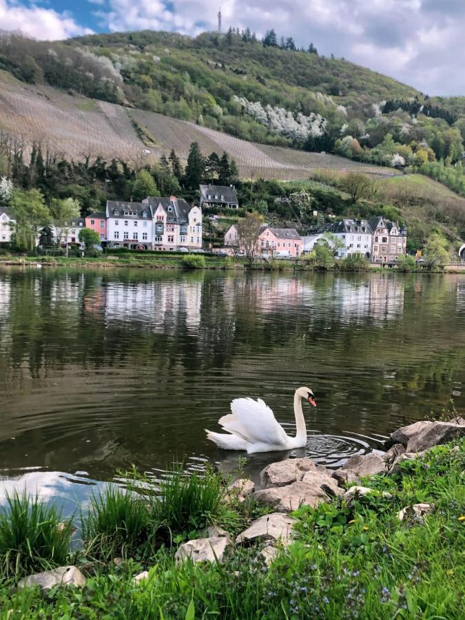 Ferienwohnungen Und Gaestezimmer Peter Busch برنكاستيل كويس المظهر الخارجي الصورة